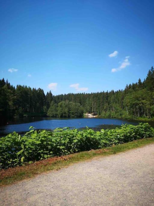 Ferienhaus In Schoenheide Im Schoenen Erzgebirge Exterior foto